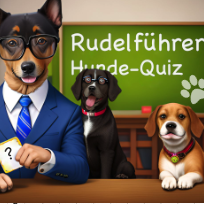 Android und Blackberry App Hunde-Quiz