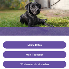 Screenshot Hundetagebuch App